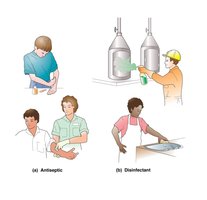 Antiseptic vs Disinfectant illustration