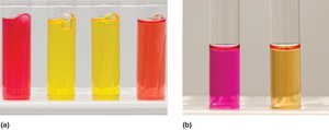 Biochemical tests with pH indicators
