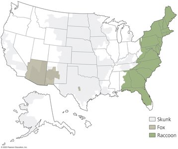 Rabies animal reservoirs map