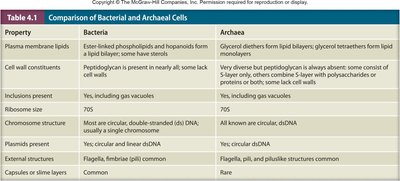Structure of archaeal flagellum
