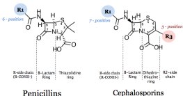 Timeline of antibiotic resistance development