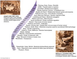 Timeline of microbiology discoveries