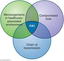 Risk for Healthcare-Associated Infections