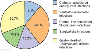 Principal Sites of Healthcare-Associated Infections