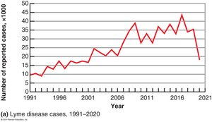 Epidemiological Graphs: Lyme disease cases over time