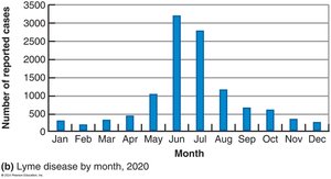 Epidemiological Graphs: Lyme disease by month