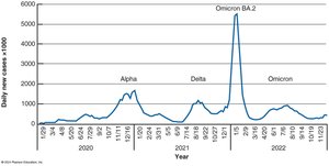 Reported COVID-19 Cases in the United States