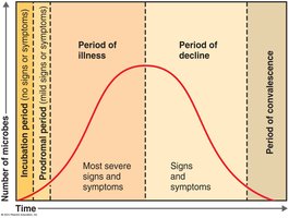 The Stages of a Disease