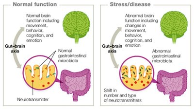 Gut-brain axis and its effect on brain function
