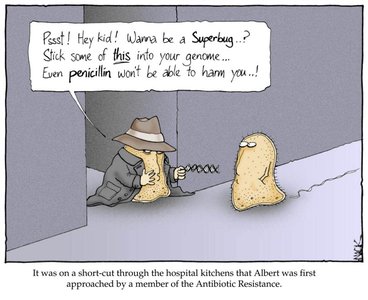 Cartoon: Antibiotic resistance gene transfer