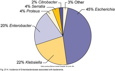 Pie chart of Enterobacteriaceae associated with bacteremia