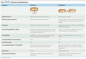 Table comparing exotoxins and endotoxins