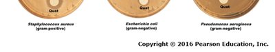 Disk-diffusion method for evaluating disinfectants