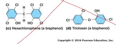 Structures of phenol, o-phenylphenol, hexachlorophene, and triclosan