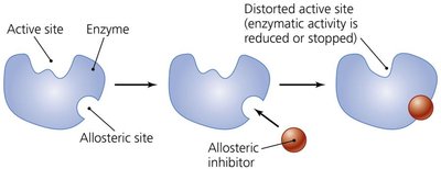 Diagram of noncompetitive inhibition