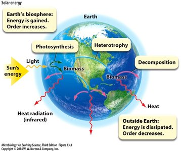 Energy flow in Earth's biosphere