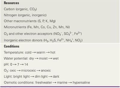 Table of resources and conditions for microbial growth