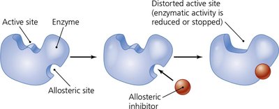 Noncompetitive inhibition at an allosteric site