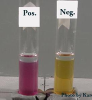 Ornithine decarboxylase test: positive (purple) and negative (yellow) tubes