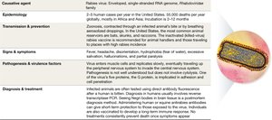 Rabies virus structure and disease snapshot