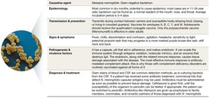 Neisseria meningitidis and disease snapshot