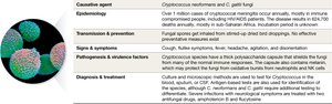 Cryptococcus fungi and disease snapshot