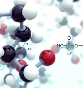 Oxygen detoxification reactions