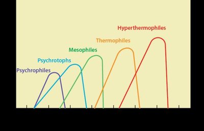 Temperature growth curves