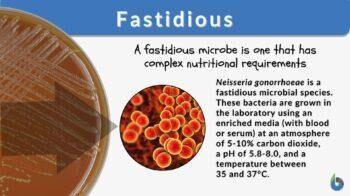 Fastidious microbe requirements