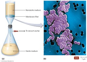 Filtration equipment and SEM image of filtered microbes