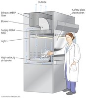 HEPA filter in biological safety cabinet