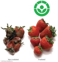 Shelf life of food with ionizing radiation
