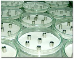 Use-dilution test setup