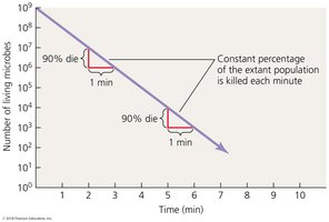 Figure 9.1 A plot of microbial death rate