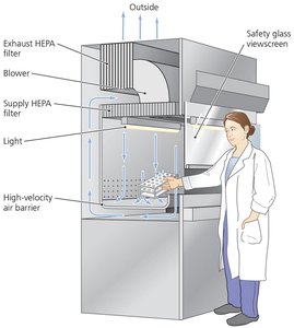 Diagram of HEPA filter in a safety cabinet