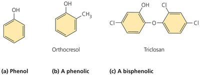 Structures of phenol, a phenolic, and a bisphenolic