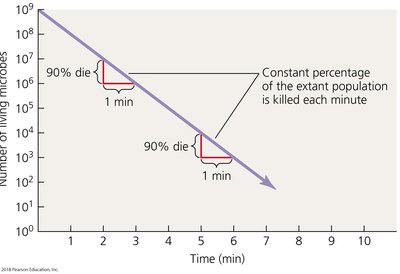 Plot of microbial death rate