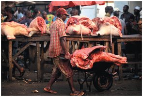 Image of poorly refrigerated foods as a source of pathogens