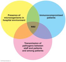 Venn diagram of factors leading to healthcare-associated infections