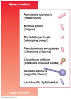Relative virulence of microbial pathogens