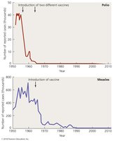 Graph showing the effect of immunization on polio and measles prevalence in the US