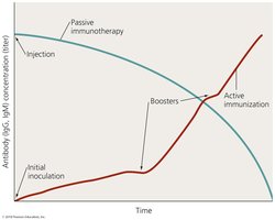 Graph comparing immunity from active immunization and passive immunotherapy