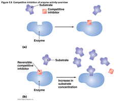Competitive inhibition diagram