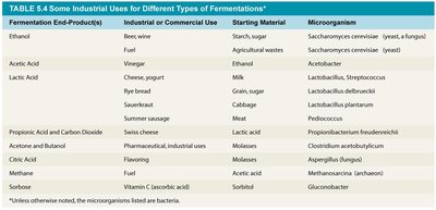 Industrial uses of fermentation