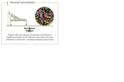 Normal microbiota balance in a patient