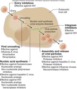Sites of antiviral drug action