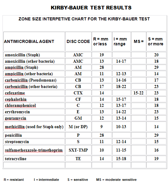 Kirby-Bauer test plate