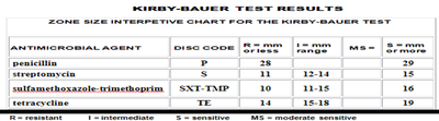Kirby-Bauer test plate with labeled zones