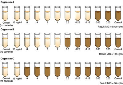 MIC test results for three organisms