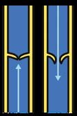 Diagram showing valves in veins preventing backflow